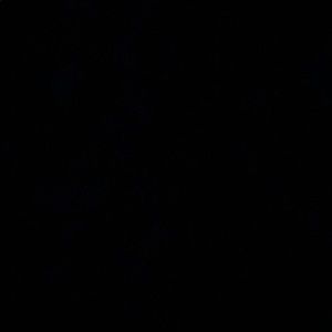 Meet your Posher, Kae